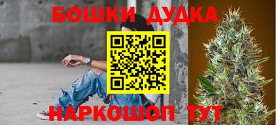 ПСИЛОЦИБИНОВЫЕ ГРИБЫ Кандалакша