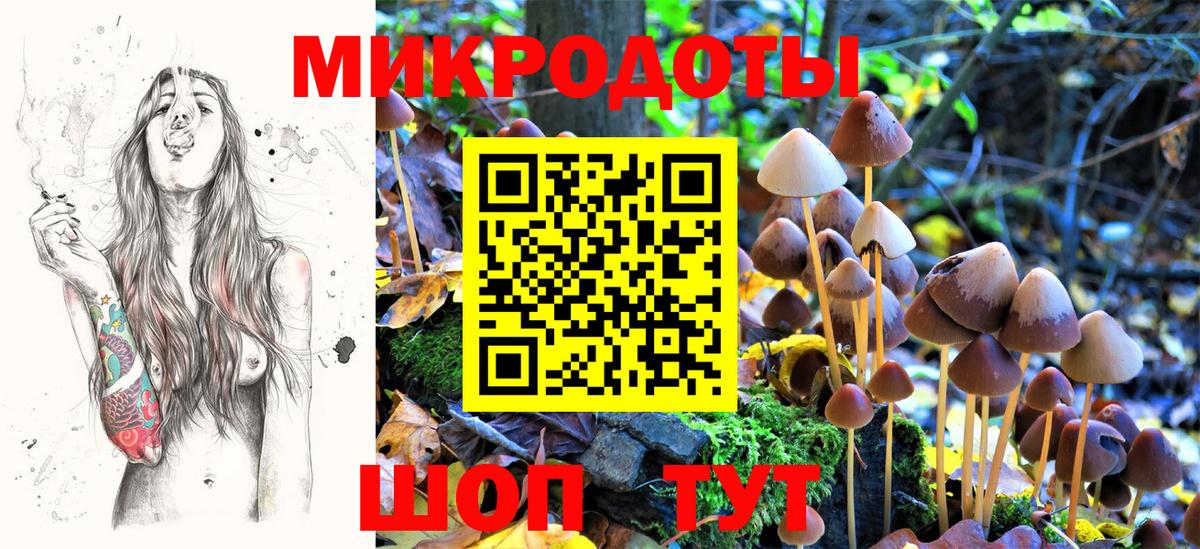 Галлюциногенные грибы мицелий Кимры