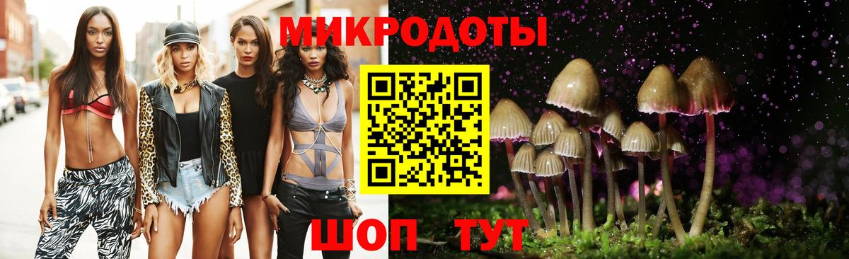 Кимры  Псилоцибиновые грибы мухоморы  Вход с VPN 